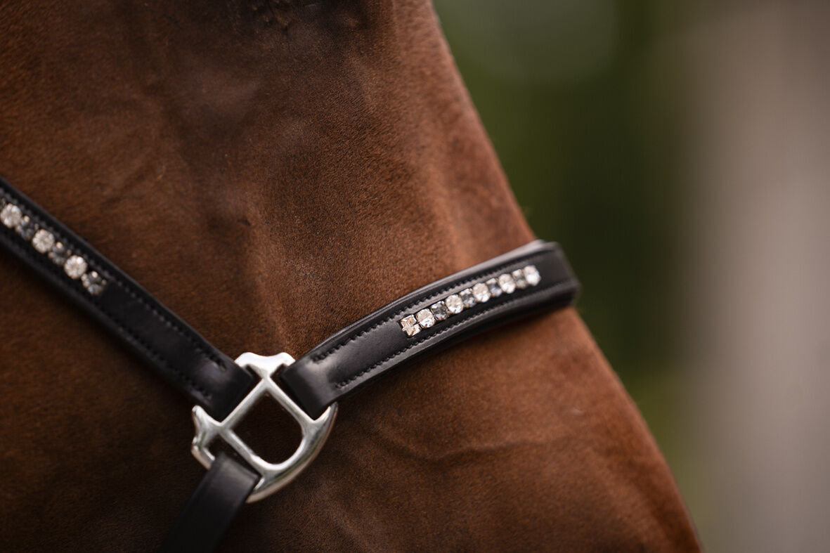 Capezza in cuoio -Sparkle