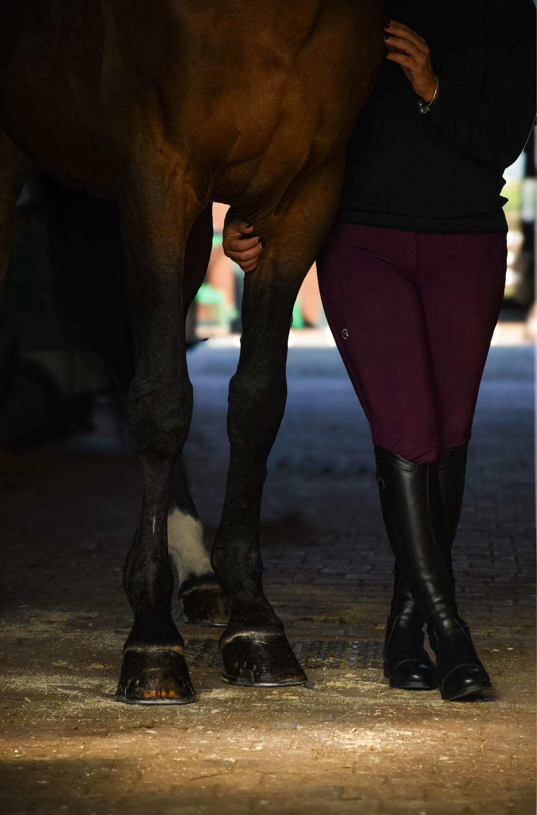 CAVALIERE