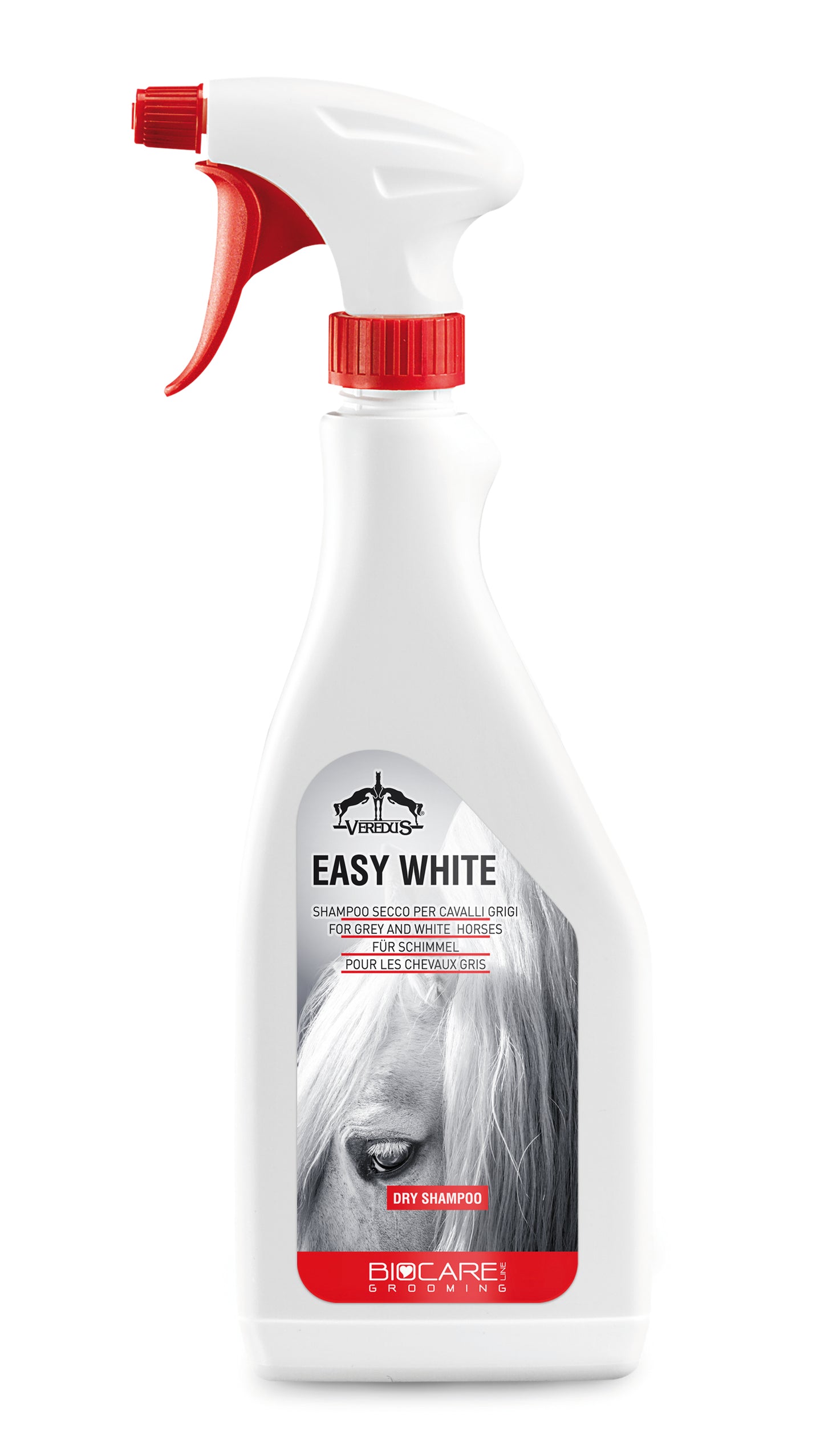 Easy White Shampoo Secco